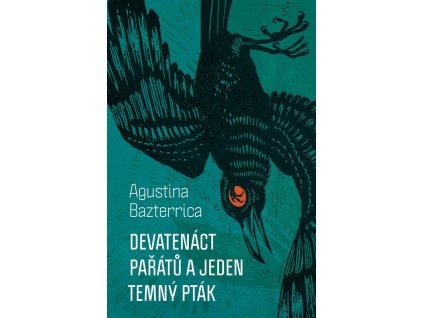148037 devatenact paratu a jeden temny ptak