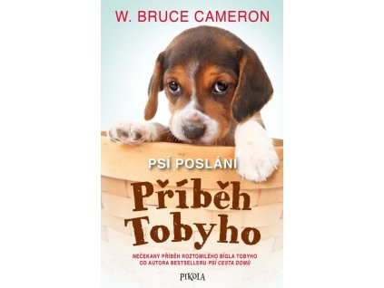 150971 psi poslani pribeh tobyho