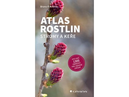 151172 atlas rostlin stromy a kere