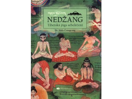 Nedžang = Gnas-sbyangs : tibetská jóga sebeléčení
