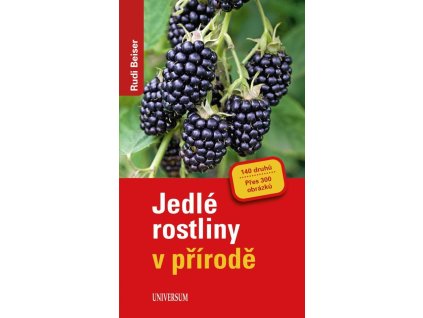 152078 jedle rostliny v prirode