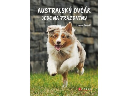 Australský ovčák jede na prázdniny