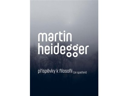 Příspěvky k filosofii (Ze spatření)