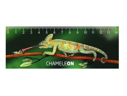 153509 pravitko 3d chameleon