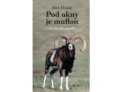 Pod okny je muflon