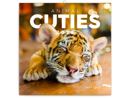 Kalendář 2026 poznámkový: Mláďata 30 x 30 cm