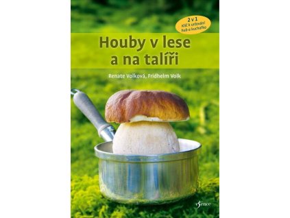 Houby v lese a na talíři