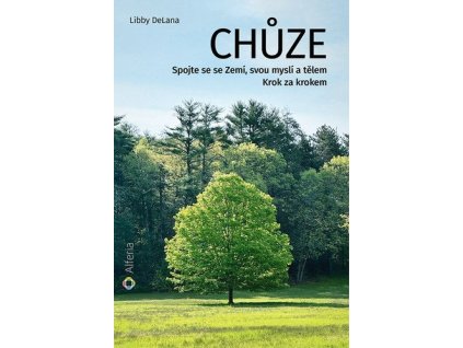 Chůze - Spojte se se Zemí, svou myslí a tělem - Krok za krokem
