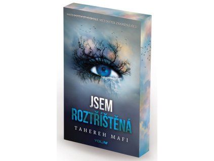 171845 jsem roztristena