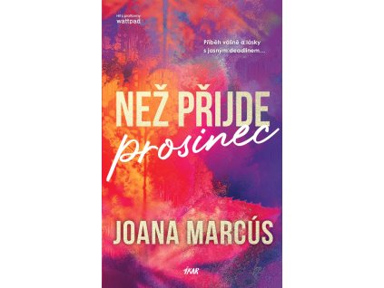Než přijde prosinec