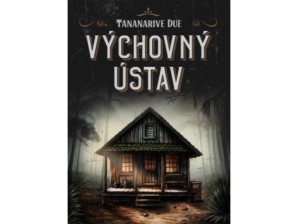 173777 vychovny ustav