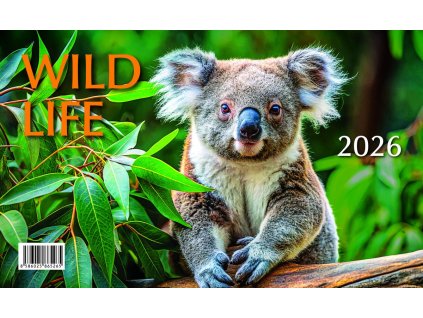 Kalendář 2026 Mláďata - Wild life, stolní, 23 x 14 cm