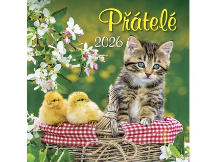 Kalendář 2026 Přátelé, nástěnný, 33 x 33 cm