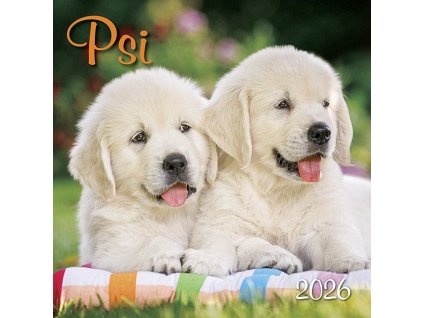 Kalendář 2026 Psi, nástěnný, 33 x 33 cm