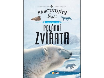 polární