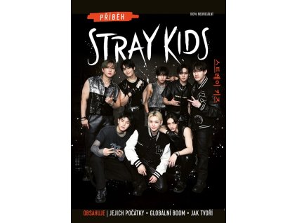 Příběh Stray Kids