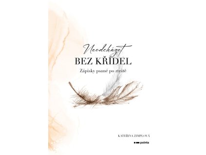 Neodcházet bez křídel