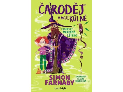 Čaroděj v mojí kůlně - Trampoty Merdyna Lítého