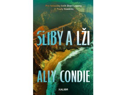 183629 sliby a lzi