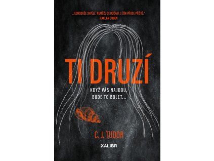 184430 ti druzi