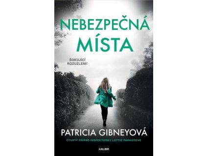 185465 nebezpecna mista