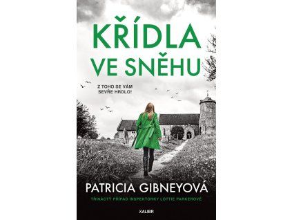 Křídla ve sněhu