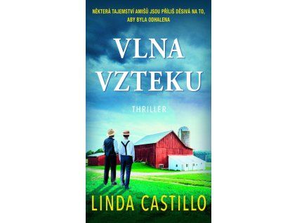 Vlna vzteku