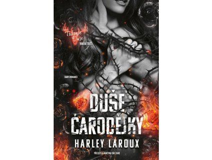187587 187587 duse carodejky