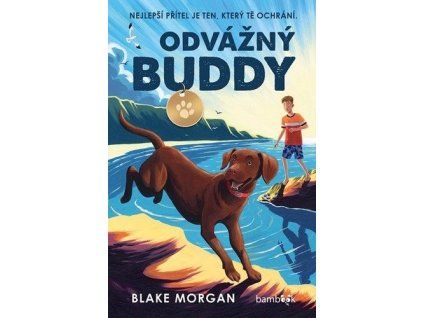 Odvážný Buddy