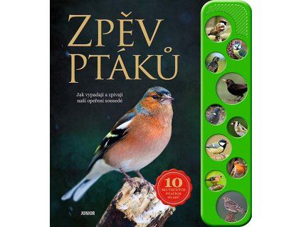 Zpěv ptáků