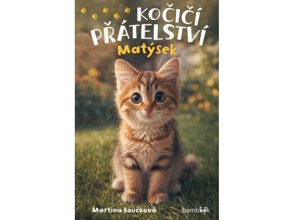 Kočičí přátelství - Matýsek