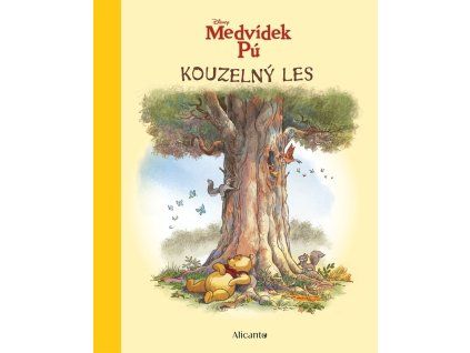 Medvídek Pú  - Kouzelný les
