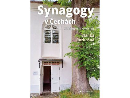 191693 synagogy v cechach