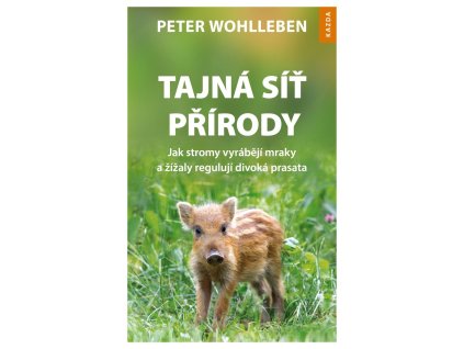 77996 tajna sit prirody jak stromy vyrabeji mraky a zizaly reguluji divoka prasata