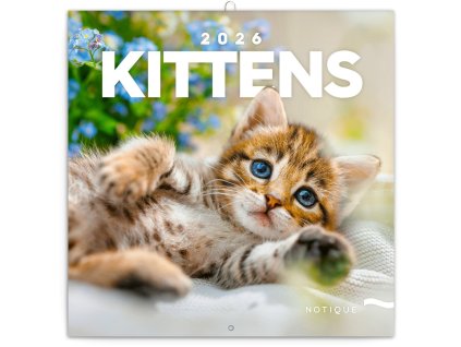 83831 kalendar 2026 poznamkovy kotata 30 x 30 cm