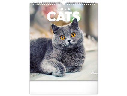 83924 kalendar 2026 nastenny kocky 30 x 34 cm