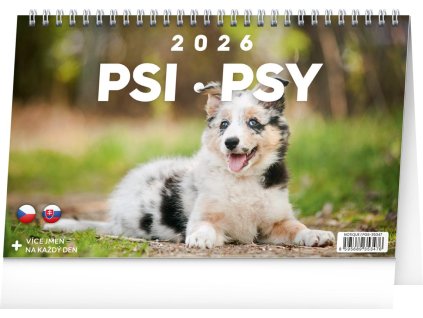 84002 kalendar 2026 stolni psi psy 23 1 x 14 5 cm