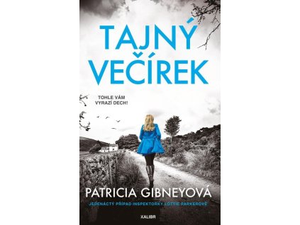 86822 tajny vecirek