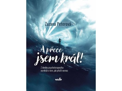 87776 a prece jsem kral z deniku psychoterapeutky osmkrat o tom jak prezit nemoc