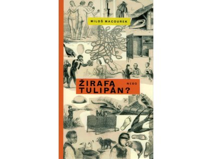 Žirafa nebo tulipán
