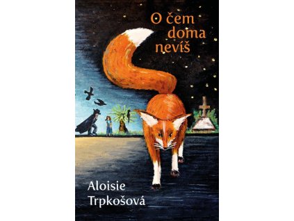 91166 o cem doma nevis