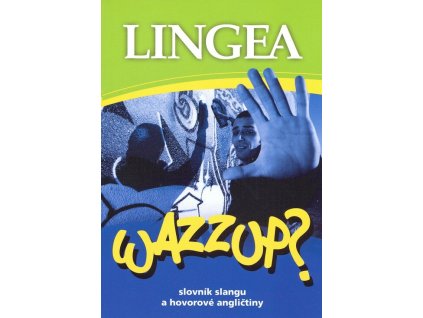 Wazzup? : slovník slangu a hovorové angličtiny