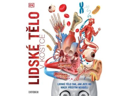 91715 lidske telo v kostce