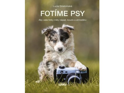 92369 fotime psy aby vase fotky mely napad