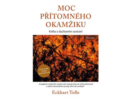 92834 moc pritomneho okamziku