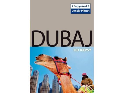 93089 dubaj do kapsy lonely planet