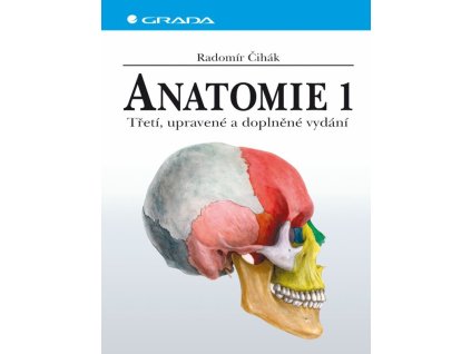 94118 anatomie 1 3 vydani