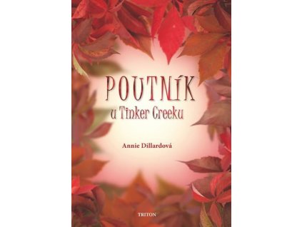 95714 poutnik u tinker creeku