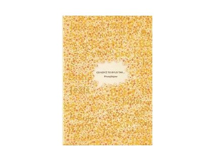 Co když to bylo tak ...