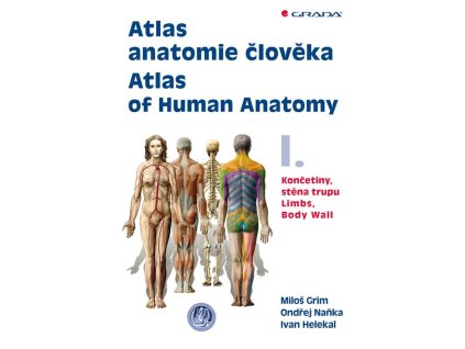 97457 atlas anatomie cloveka i koncetiny stena trupu atlas of human anatomy i limbs body wall